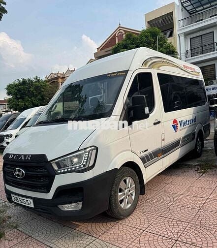 Hyundai Solati Limosin 2019 16 chỗ Trắng