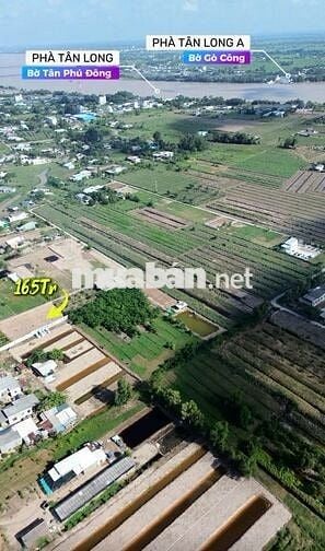 ĐẤT THỔ CƯ TRUNG TÂM CHỢ PHÚ THẠNH TÂN PHÚ ĐÔNG 🍃 GIÁ : 165 triệu/nền
