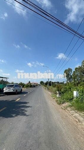 ĐẤT THỔ CƯ TRUNG TÂM CHỢ PHÚ THẠNH TÂN PHÚ ĐÔNG 🍃 GIÁ : 165 triệu/nền