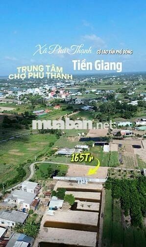 ĐẤT THỔ CƯ TRUNG TÂM CHỢ PHÚ THẠNH TÂN PHÚ ĐÔNG 🍃 GIÁ : 165 triệu/nền