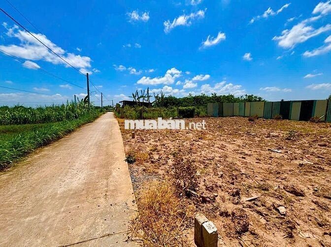 ĐẤT THỔ CƯ TRUNG TÂM CHỢ PHÚ THẠNH TÂN PHÚ ĐÔNG 🍃 GIÁ : 165 triệu/nền