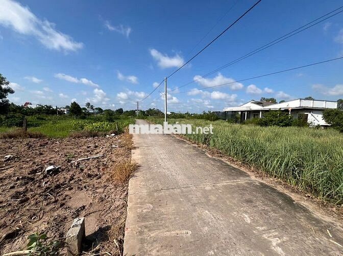 ĐẤT THỔ CƯ TRUNG TÂM CHỢ PHÚ THẠNH TÂN PHÚ ĐÔNG 🍃 GIÁ : 165 triệu/nền