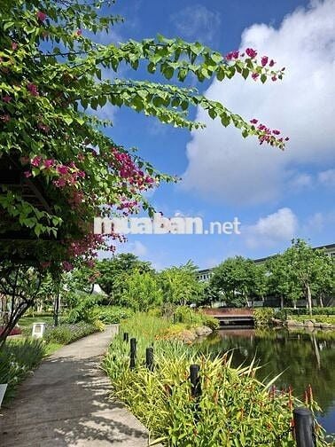 Bán nhà phố KĐT xanh LaVida Vũng Tàu, hướng ĐN, 80m2 chỉ 6,5 tỷ!
