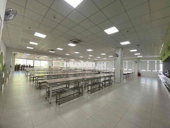 🔥 MT Bạch Đằng, P.2, Tân Bình - Hầm + 8 Tầng - 8x33m - 1.200m² Sàn - G