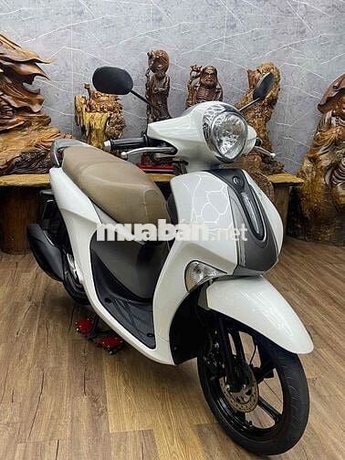 Yamaha Janus 2022 chính chủ bstp máy zin êm