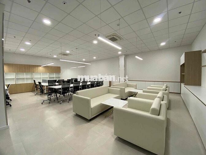 🔥 MT Bạch Đằng, P.2, Tân Bình - Hầm + 8 Tầng - 8x33m - 1.200m² Sàn - G