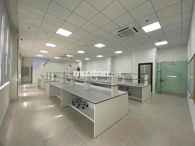 🔥 MT Bạch Đằng, P.2, Tân Bình - Hầm + 8 Tầng - 8x33m - 1.200m² Sàn - G