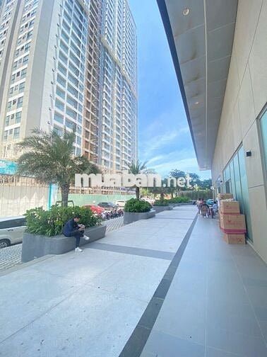 🏢 BÁN SHOPHOUSE THE SÓNG AN GIA – 2 TẦNG 200m2 – MẶT BẰNG KINH DOANH