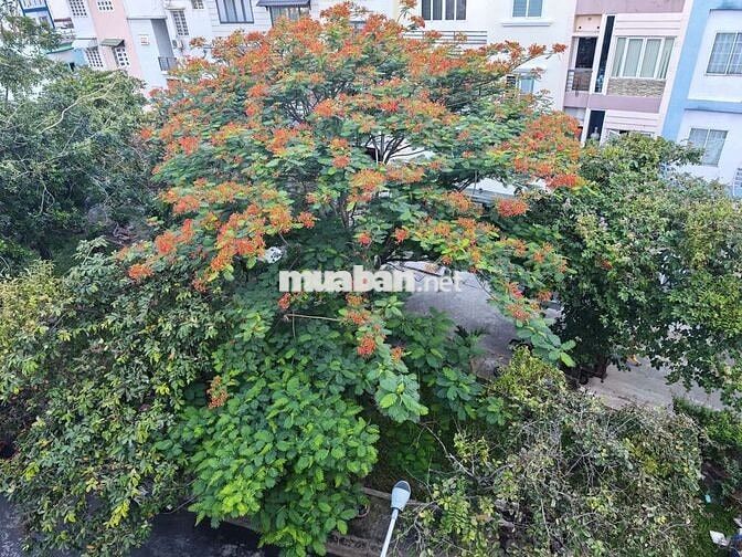 4 X 18M 4 PHÒNG NGAY CÔNG VIÊN  