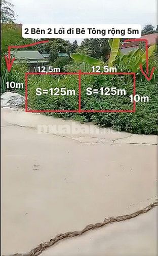 Chính Chủ Cần Bán Gấp Mảnh Đất DT 125m2. MT 10m oto vào nhà. Giá Rẻ