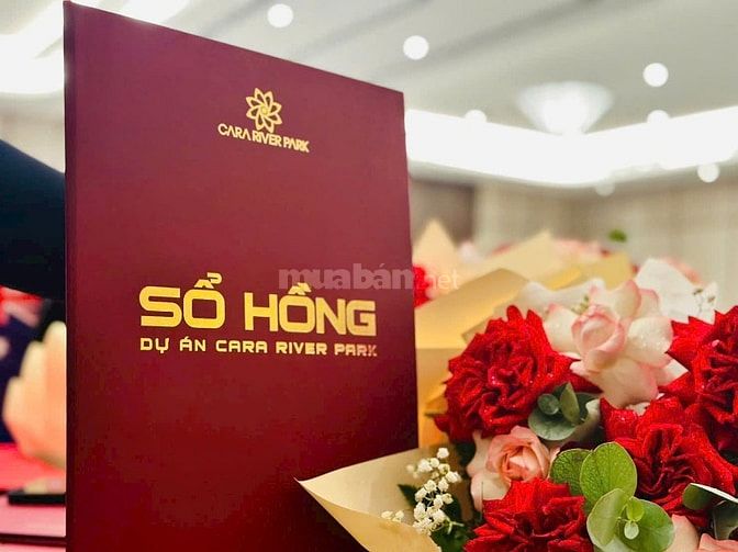 🏡 MUA CĂN HỘ DỄ HƠN VỚI PHƯƠNG ÁN THANH TOÁN LINH HOẠT