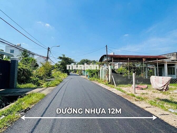 CHỦ NGỘP THỞ BÁN GẤP ĐẤT MT ĐƯỜNG 25 VIỆT KIỀU - 5X26M THỔ CƯ SỔ RIÊNG