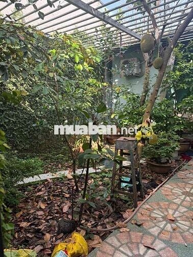 Bán nhà 125,2m² đường ô tô 6m P. Tân Phong cũ giá 1 tỷ