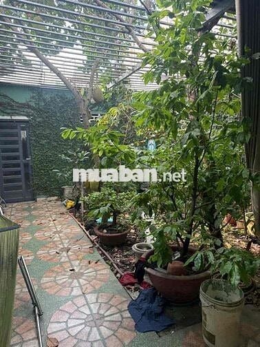 Bán nhà 125,2m² đường ô tô 6m P. Tân Phong cũ giá 1 tỷ