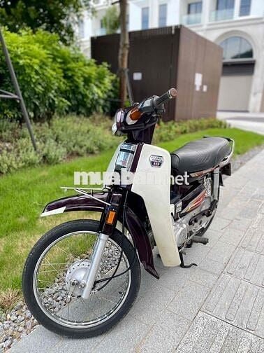 Honda Dream Thái