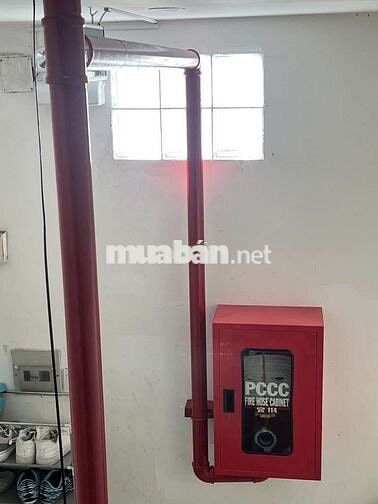 Gà Đẻ Trứng Vàng CHDV 12 Phòng Ngay Ngã Tư Hàng Xanh