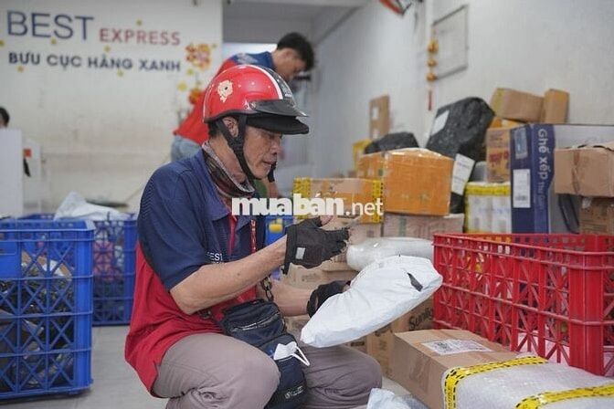[Tân Tạo - Bình Tân cũ] - Best Express Hồ Văn Long
