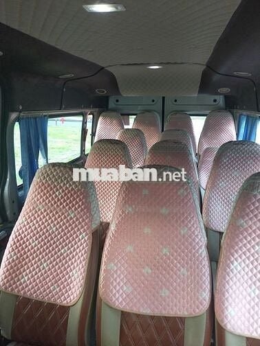 Ford Transit 16 chỗ Vàng cát