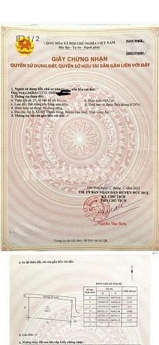 Chính chủ cần bán lô đất 2 mặt tiền, nở hậu đẹp tại xã Đông Thành