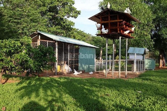 CHÍNH CHỦ BÁN ĐẤT 6.222,4M² – 03 SỔ RIÊNG – ĐÃ ĐẦU TƯ HẠ TẦNG - MŨI NÉ