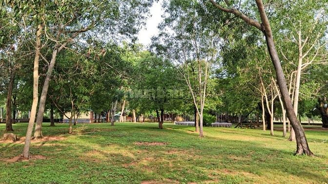 CHÍNH CHỦ BÁN ĐẤT 6.222,4M² – 03 SỔ RIÊNG – ĐÃ ĐẦU TƯ HẠ TẦNG - MŨI NÉ