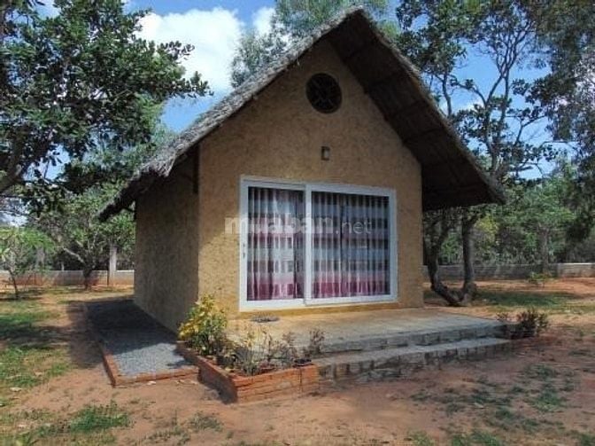 CHÍNH CHỦ BÁN ĐẤT 6.222,4M² – 03 SỔ RIÊNG – ĐÃ ĐẦU TƯ HẠ TẦNG - MŨI NÉ