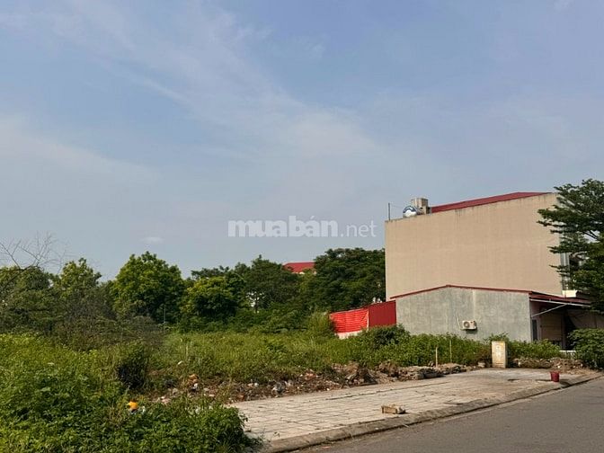 ĐỒNG KỴ – TỪ SƠN | LÔ ĐẤT 100M², MT5m, gửi 5,5 hơn nhẹ