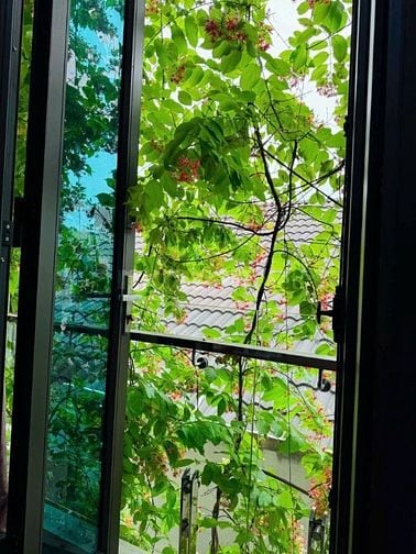 Bán nhà ngõ phố Đội Cấn gần Liễu Giai - Văn Cao