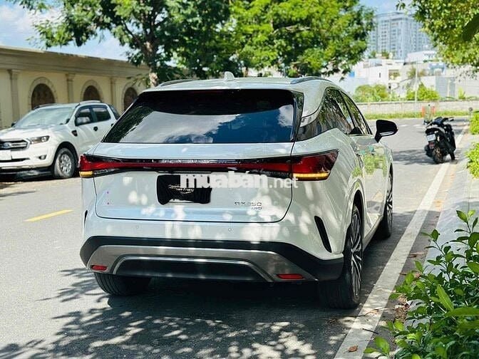 Lexus RX350 Premium 2024 Trắng