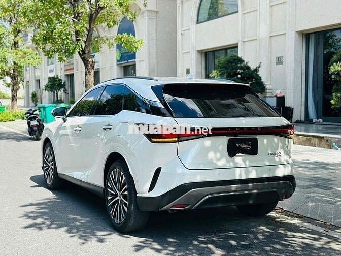 Lexus RX350 Premium 2024 Trắng