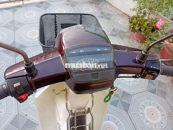 Honda Rim Nâu trắng