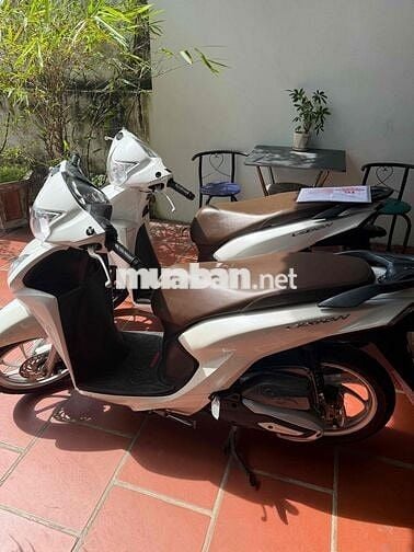 Honda Vision 2023 Trắng