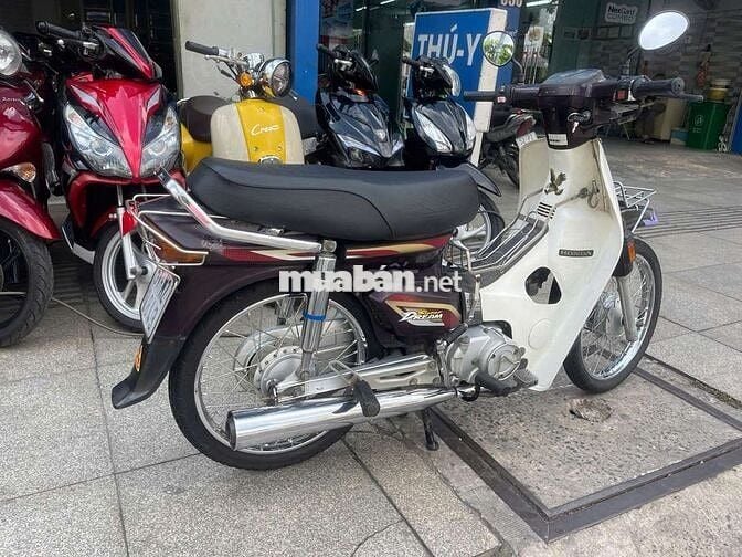 Honda Super Dream 2004 Trắng, Nâu Đã sử dụng