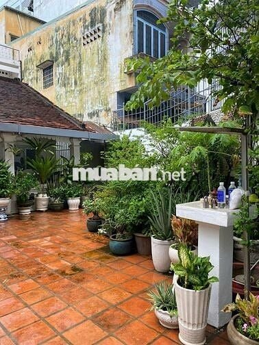 CHO THUÊ BIỆT THỰ BÙI THỊ XUÂN Q1 - DT: 9,5X25M - GIÁ 80TR
