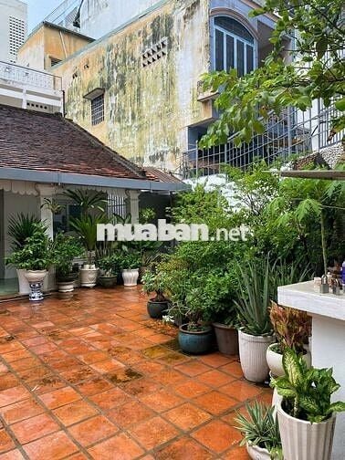 CHO THUÊ BIỆT THỰ BÙI THỊ XUÂN Q1 - DT: 9,5X25M - GIÁ 80TR