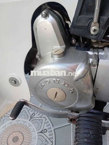Honda Rim Nâu trắng