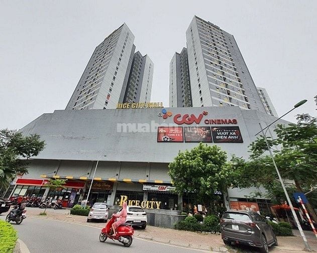 CC Nam Rice City. Sổ chính chủ, 67 m2, 2N2WC, góc tầng trung, full NT