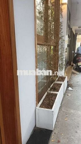 Nhà 3 tầng trung tâm gần sân Chi Lăng Lăng