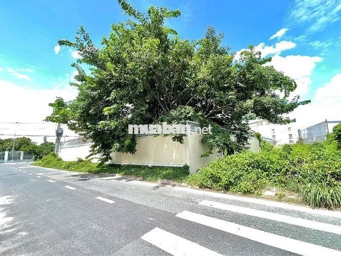 630 TRIỆU ĐỂ MUA ĐƯỢC LÔ ĐẤT 200m2 NGAY CẦU VƯỢT CỦ CHI