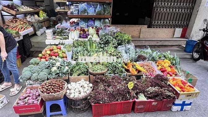 TUYỂN NHÂN VIÊN BÁN RAU CỦ PHÚ NHUẬN