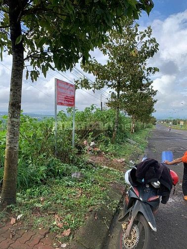 Công ty Đấu giá hợp danh Lam Sơn Sài Gòn THÔNG BÁO ĐẤU GIÁ TÀI SẢN
