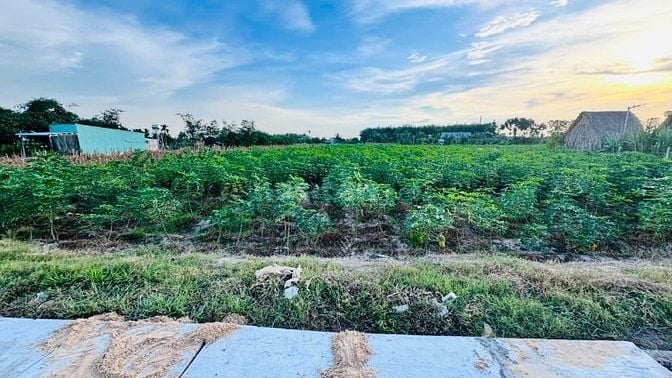 30x150 có 400m2 thổ cư. Ngay KCN Phước Đông. 4,x tỷ 