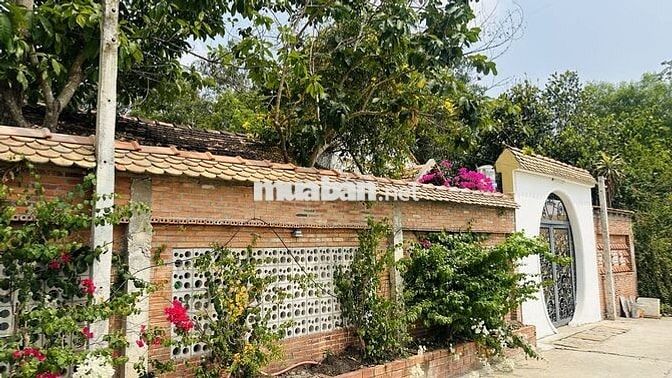 Cho thuê tổ hợp khu nhà sân vườn
