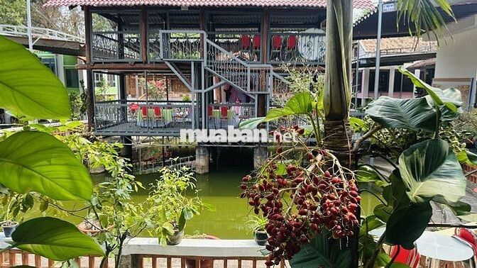 Cho thuê tổ hợp khu nhà sân vườn