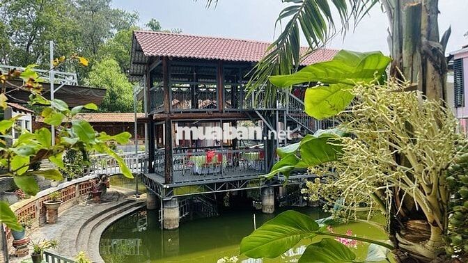 Cho thuê tổ hợp khu nhà sân vườn