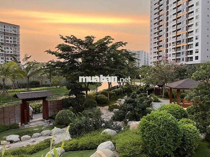 Bán căn Mizuki Park 2PN 56m2, giá chỉ 3,55 tỷ, sổ hồng sẵn, view đẹp