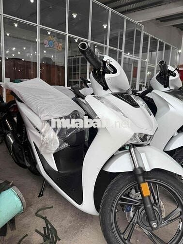 SH150 nhập Ý Mới 100% Trắng Giá alo