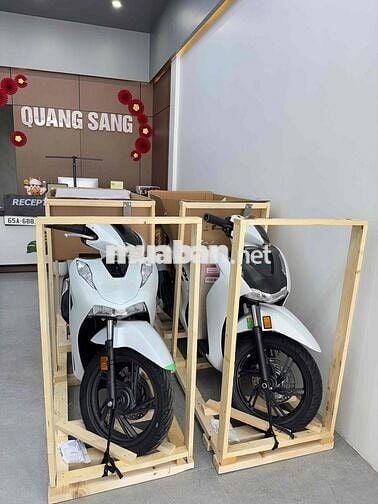 SH150 nhập Ý Mới 100% Trắng Giá alo