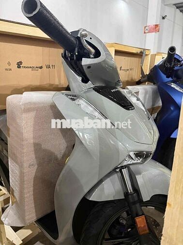 SH150 Nhập Ý Mới 100% Xám Xi Măng hiếm Giá alo