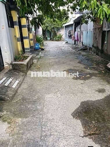 nhà mới sơn thích hợp cho gia đình ít người